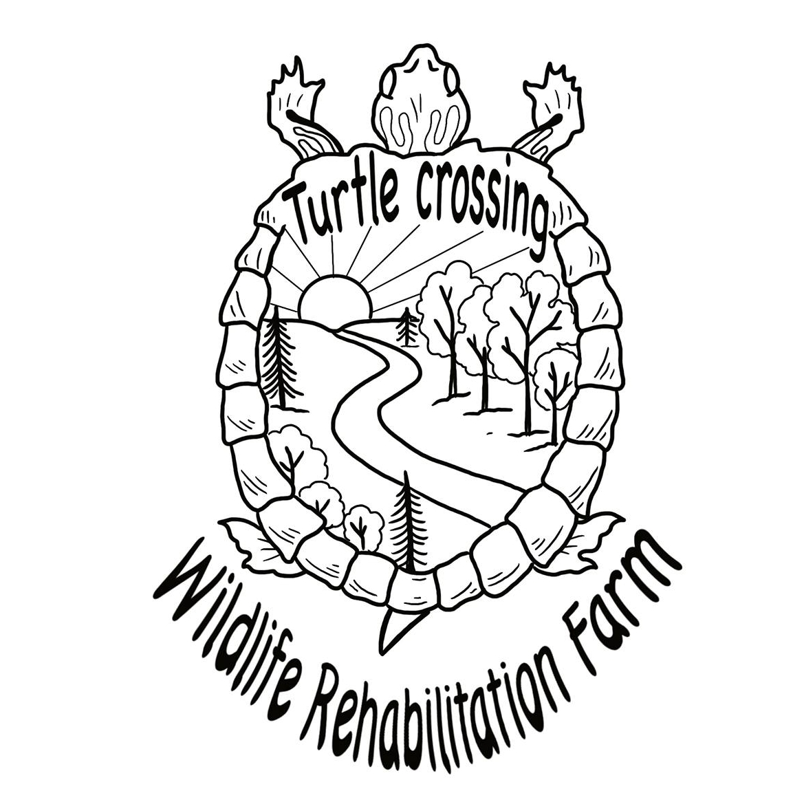 Read more about the article Turtle Crossings Wildlife Rehabilitation Farm