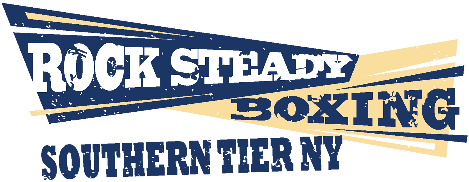 Read more about the article Rock Steady Boxing of the Southern Tier