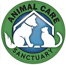 Read more about the article Animal Care Sanctuary