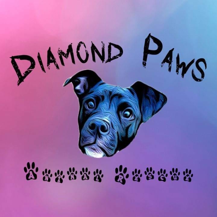 Read more about the article Diamond Paws Animal Shelter