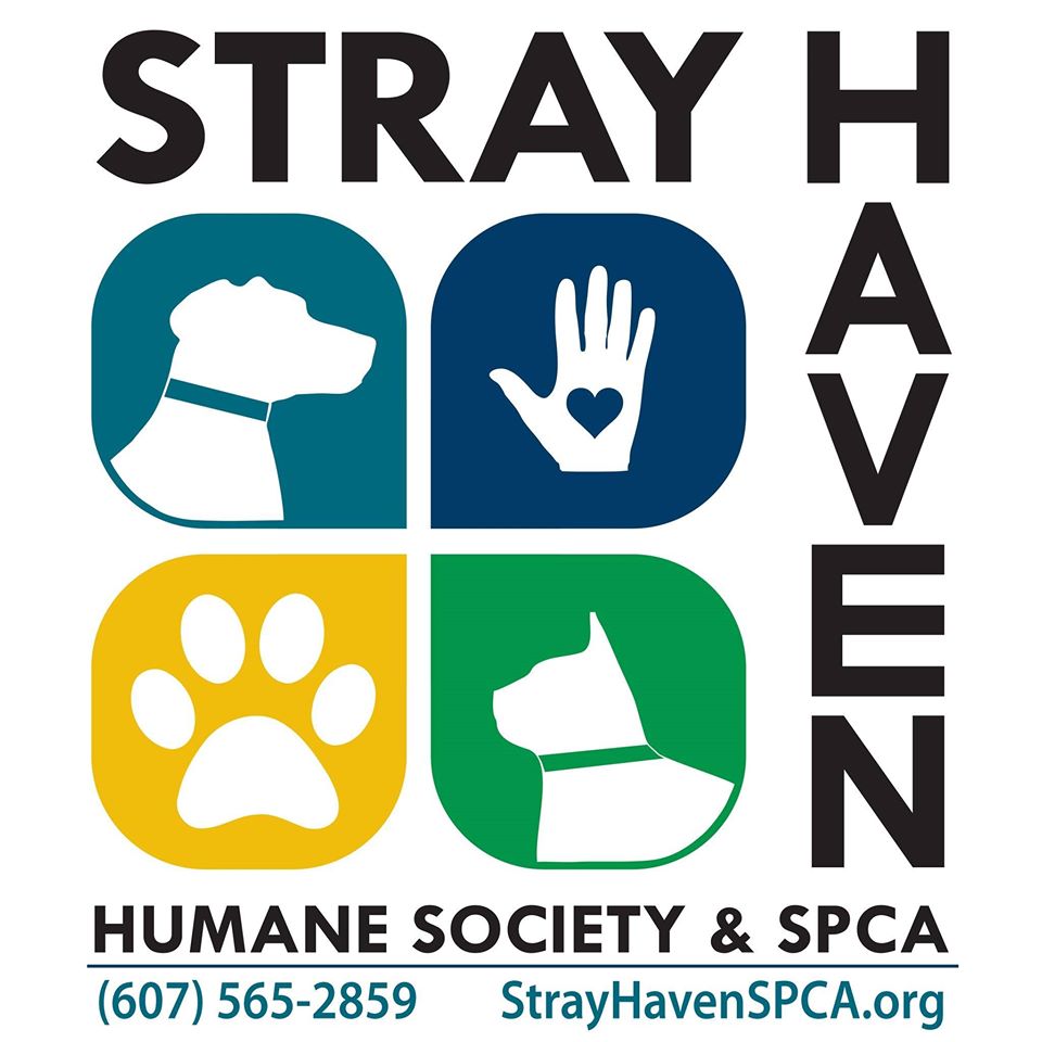 Read more about the article Stray Haven Humane Society, SPCA